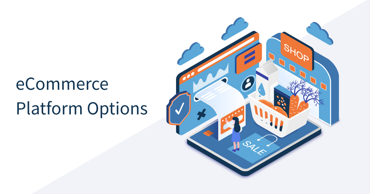 eCommerce Platform Options – Which type is right for me?