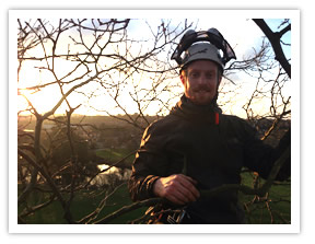 Web Design Case Study - Tree Surgeon