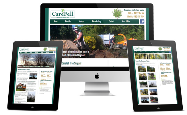 CareFell Design Case Study